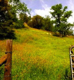 farm